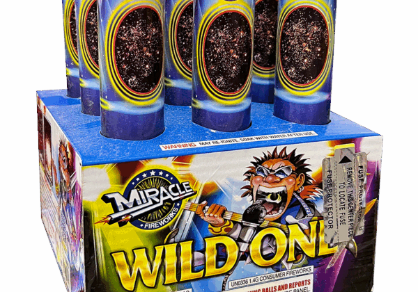 WildOne-600x625
